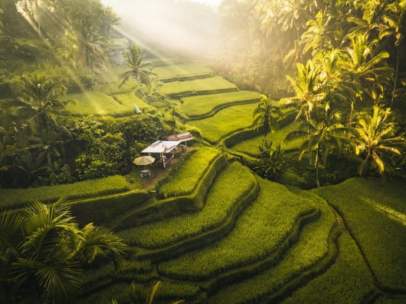 Bali