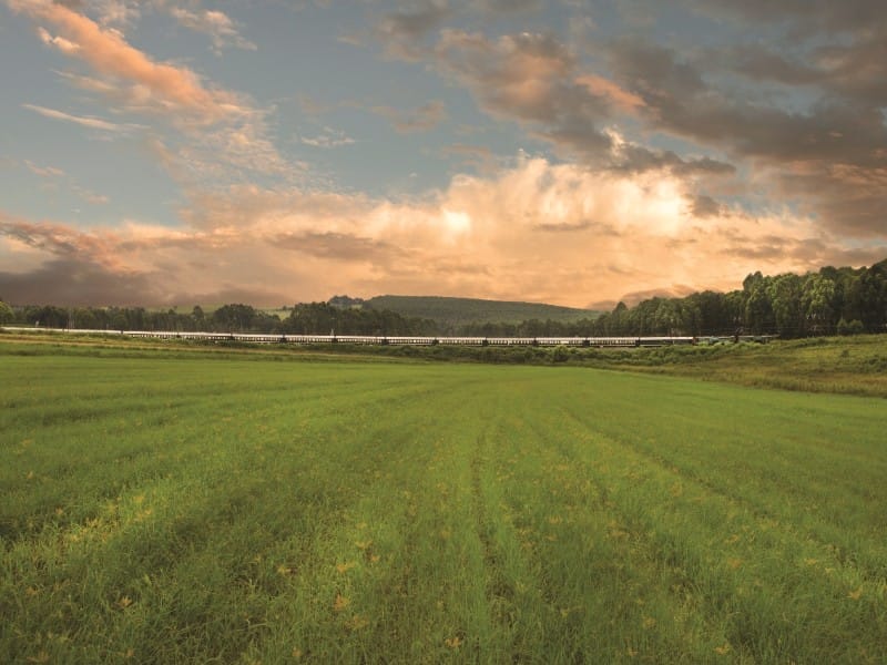 Kapstadt, Durban & Rovos Rail 