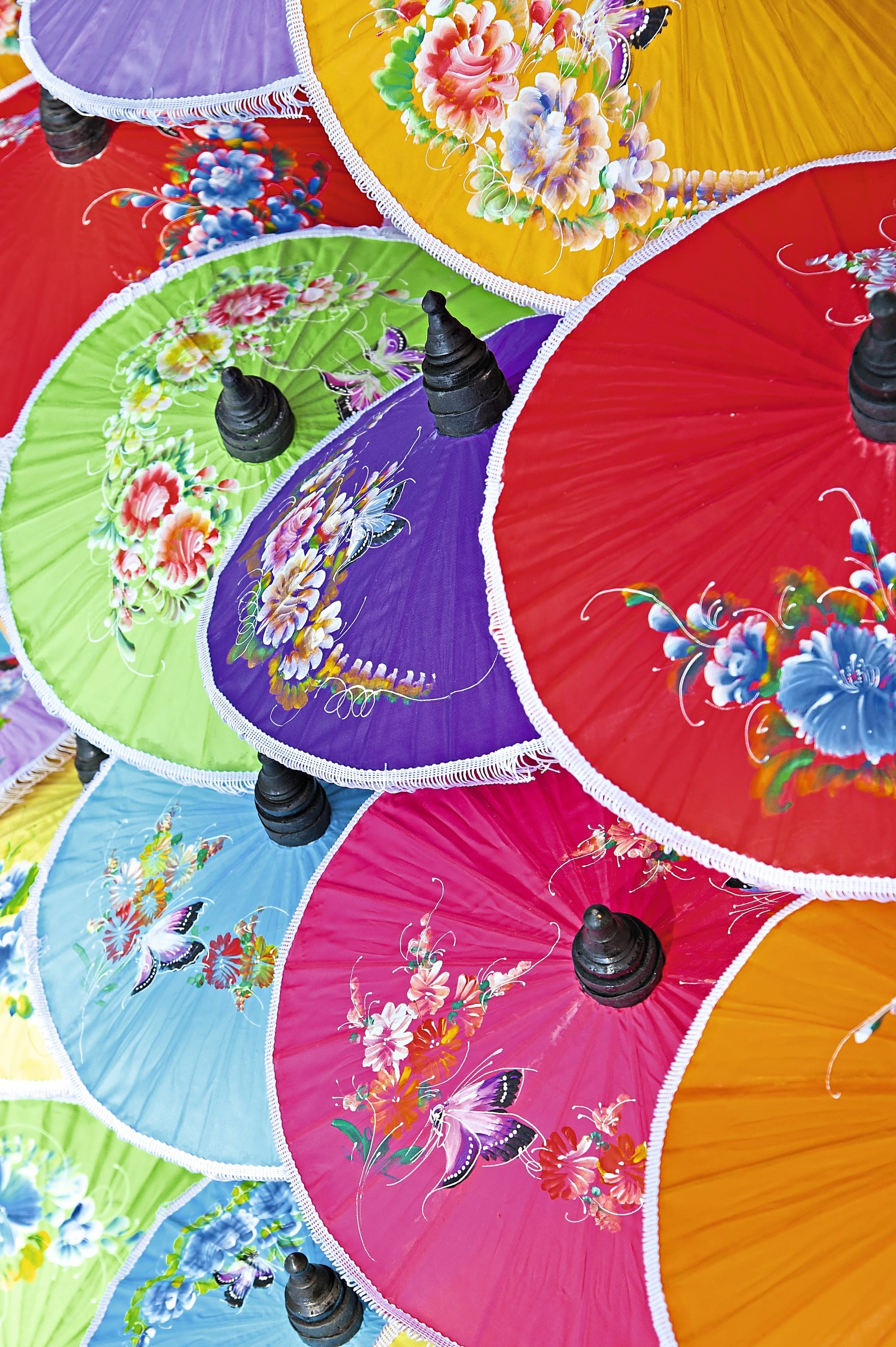 Bunte Schirme in Chiang Mai