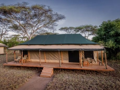 Baobab Seronera Camp