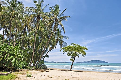 Verlängerung in Tamarindo 2026